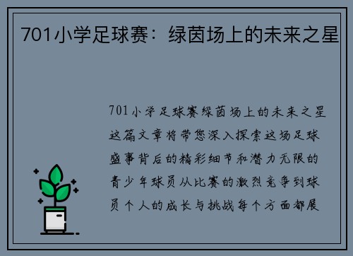 701小学足球赛：绿茵场上的未来之星