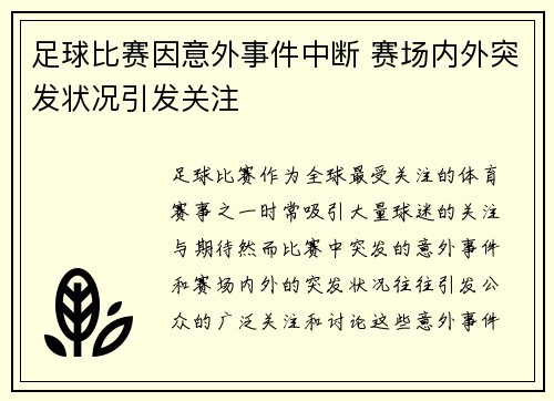 足球比赛因意外事件中断 赛场内外突发状况引发关注