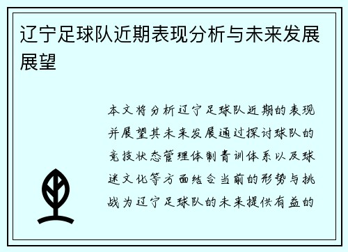 辽宁足球队近期表现分析与未来发展展望