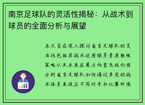 南京足球队的灵活性揭秘：从战术到球员的全面分析与展望
