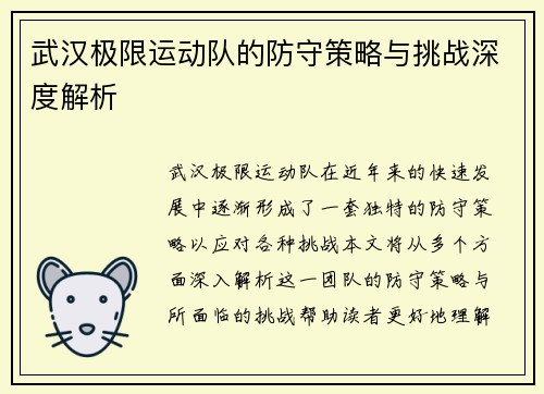 武汉极限运动队的防守策略与挑战深度解析