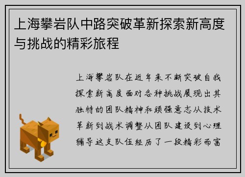上海攀岩队中路突破革新探索新高度与挑战的精彩旅程