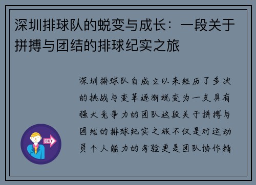 深圳排球队的蜕变与成长：一段关于拼搏与团结的排球纪实之旅